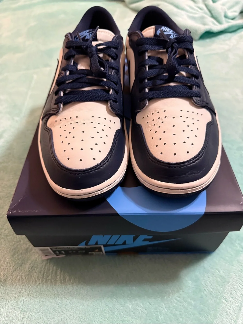 Air Jordan 1 Retro Low OG 